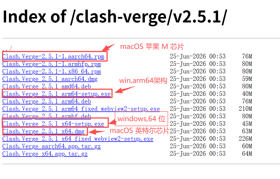 Clash Verge Rev 下载页面